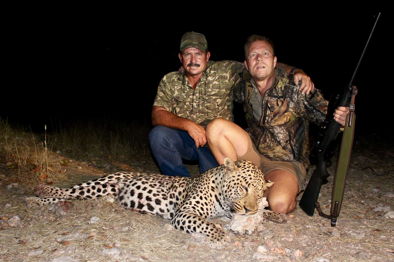 Leopard