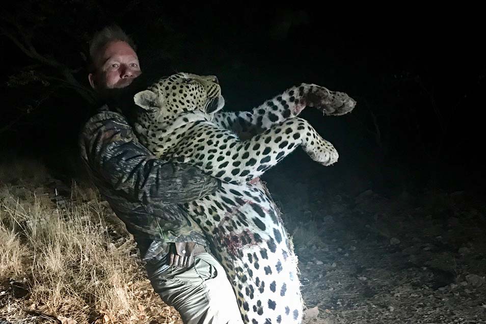 Leopard