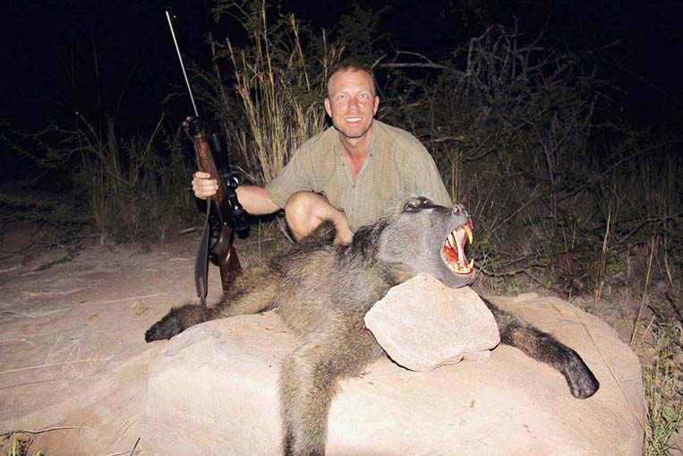 Baboon