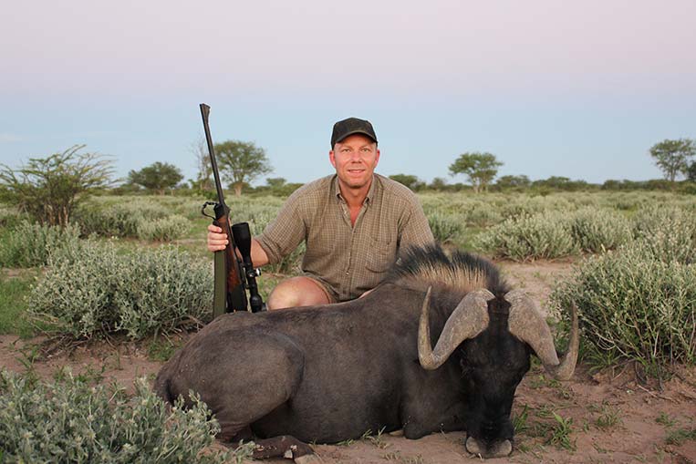 Black Wilderbeest