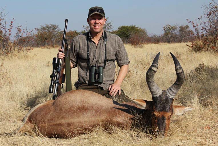 Red Hartebeest